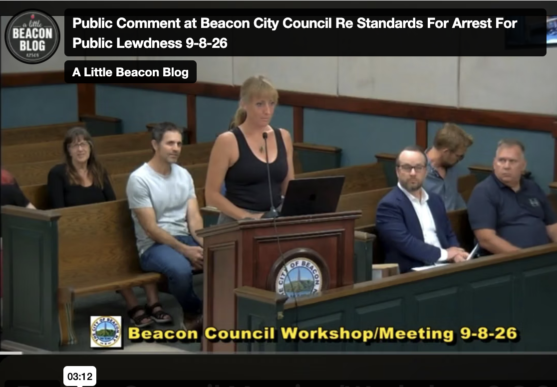 public comment katie public lewdness 9-8-2026 city council.png