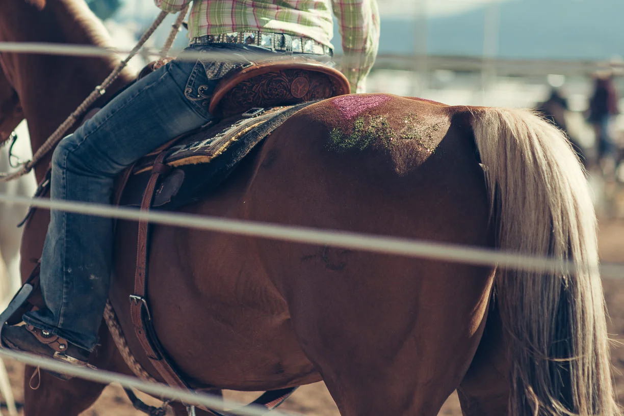 rodeo_©SimonPauly-3.jpg