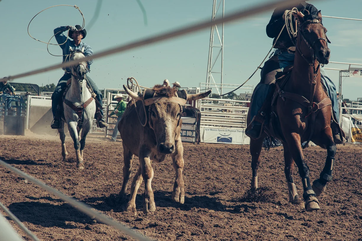 rodeo_©SimonPauly-4.jpg