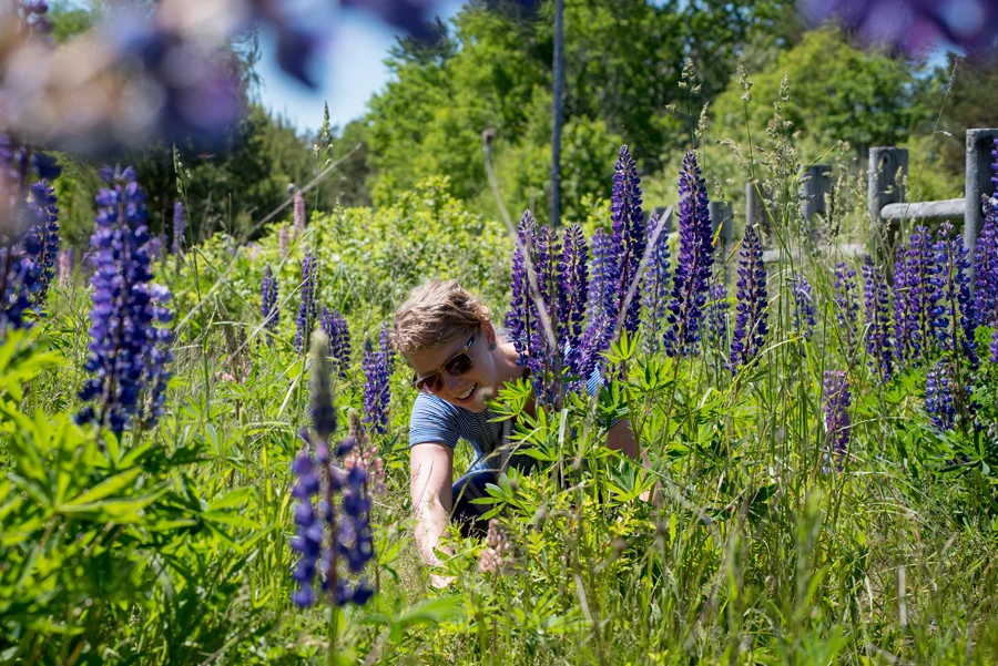 Avery collecting wild flowers for the table bouquets.