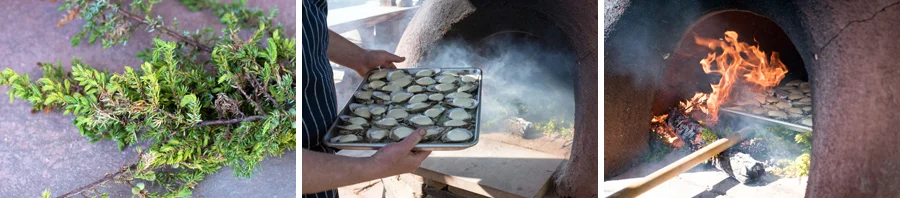 Smoking the oysters in the outdoor oven with juniper branches.
