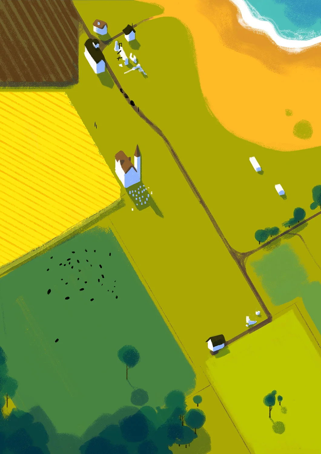 Fields