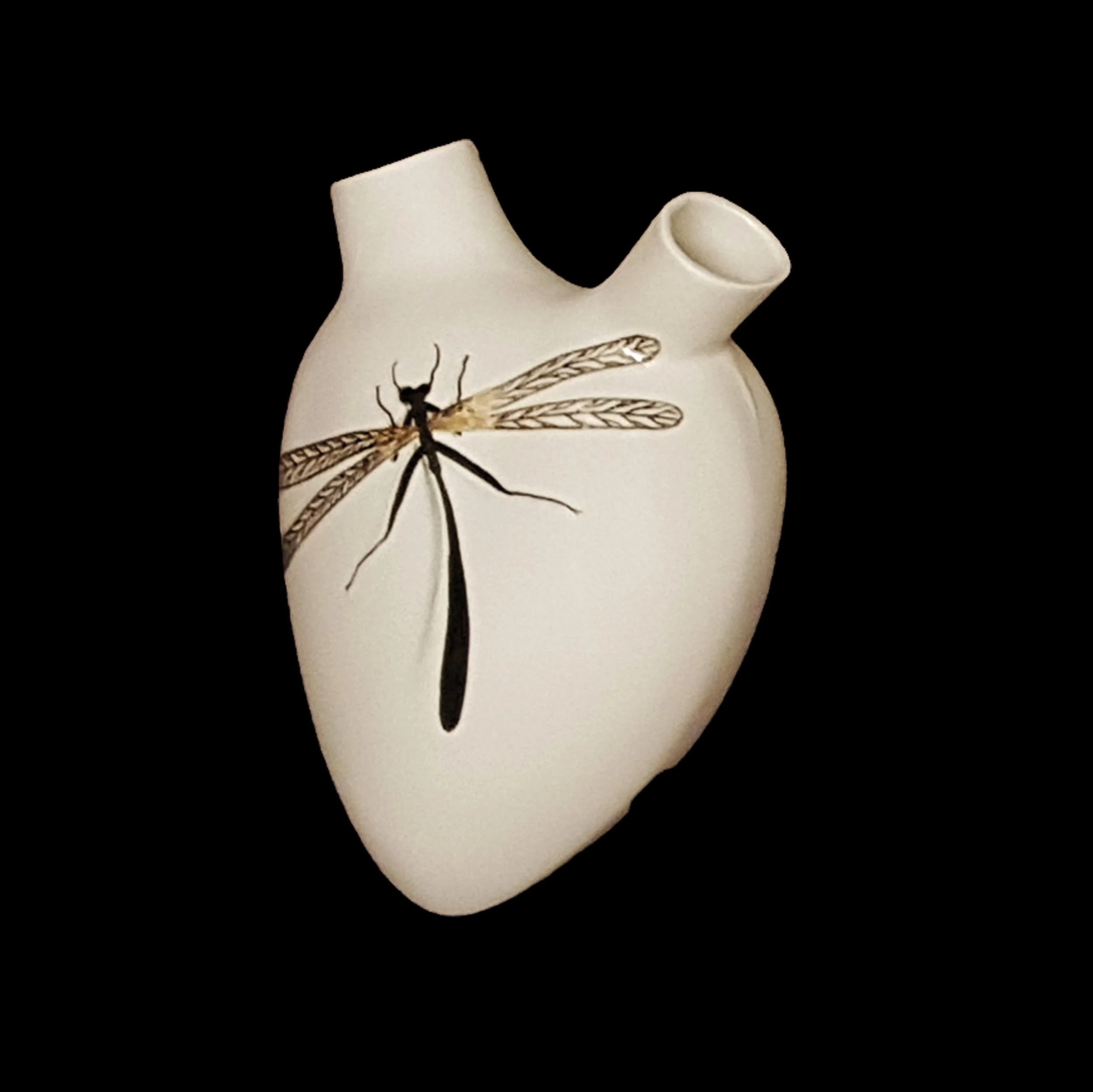 dragonfly.jpg