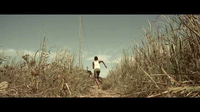 EL TIGRE / THE TIGER TRAILER