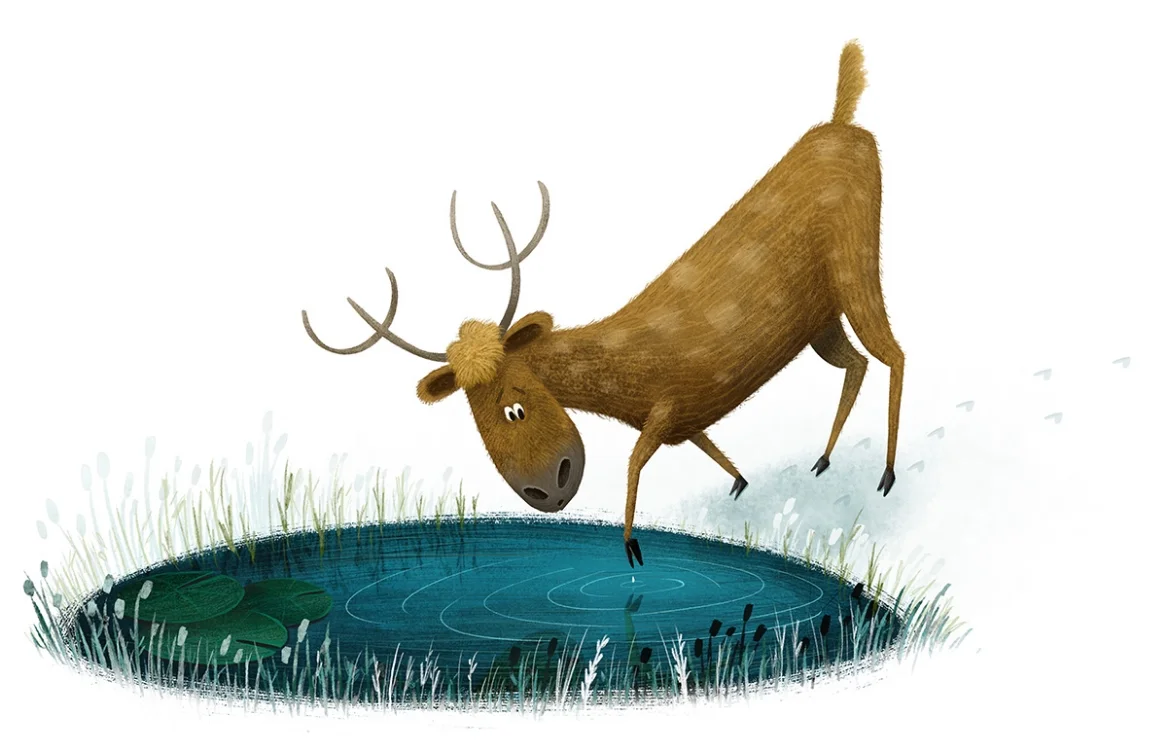 CoenmeteenC_Moose.jpg