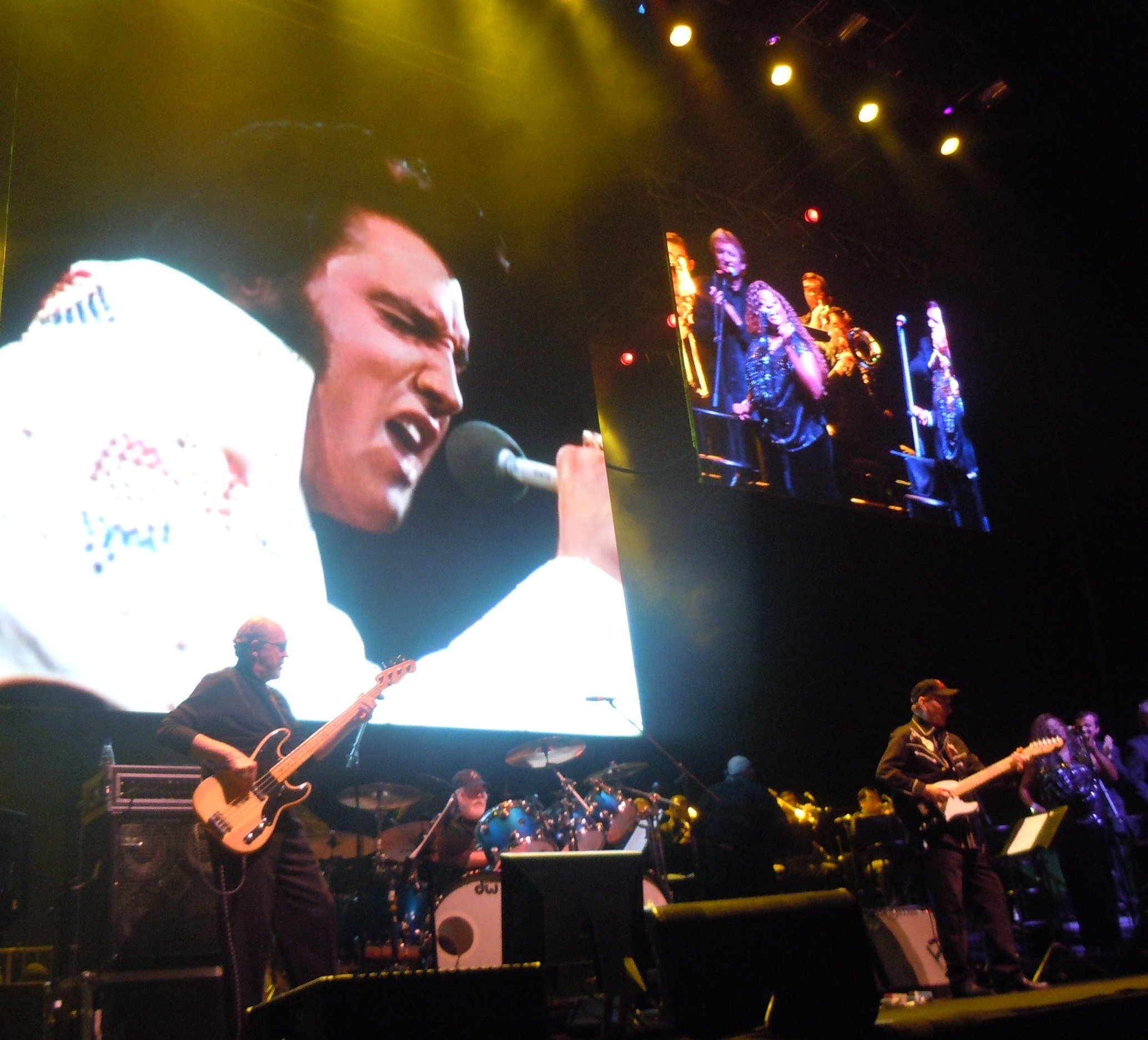 Elvis in Concert, Brazil