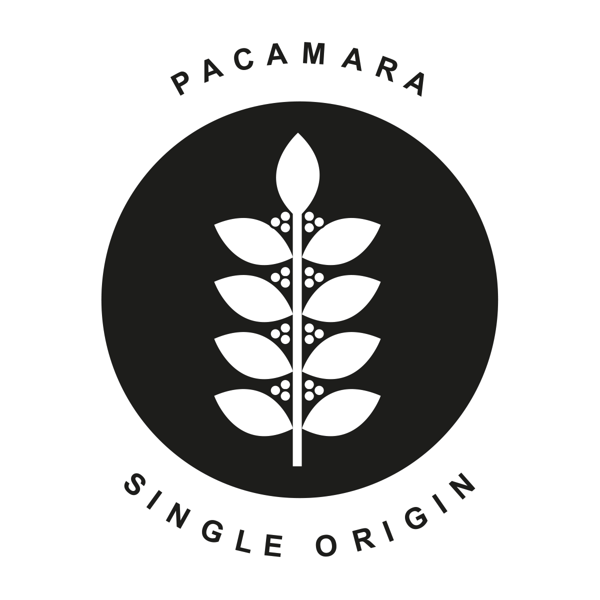 Halo-coffees-logo-pacamara.png