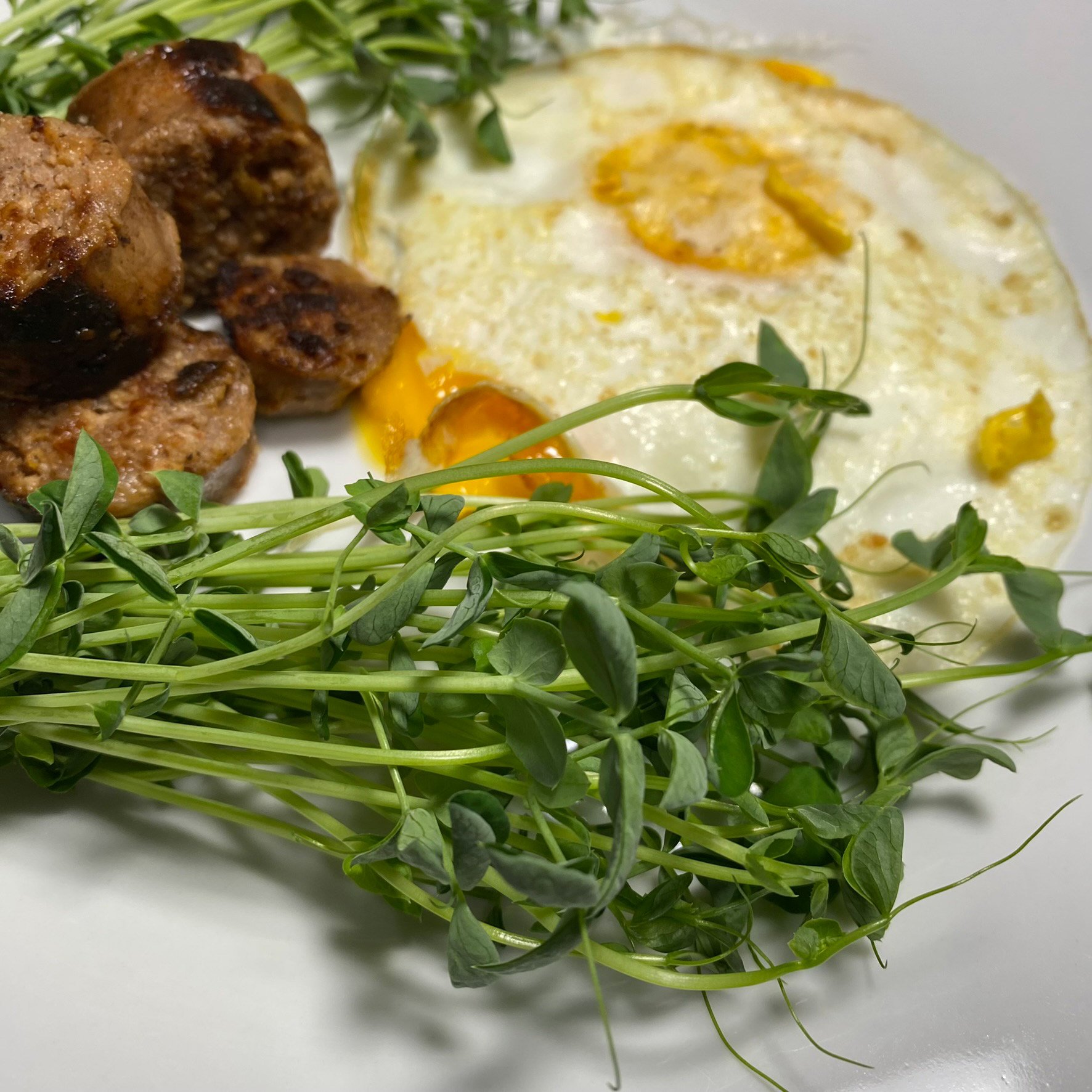 pea_microgreens_eggs_sausage.jpg