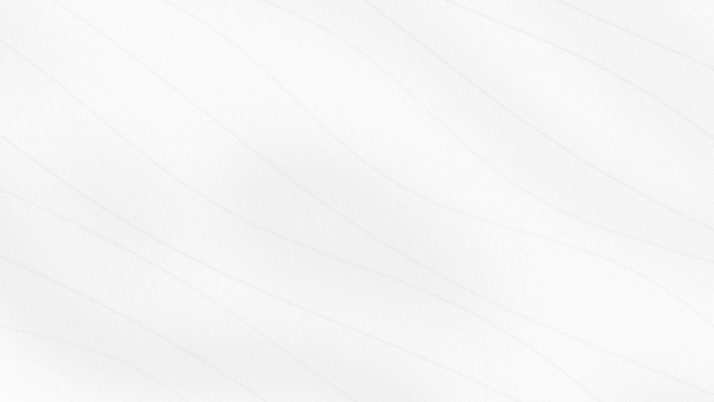 02_white_flow_lines.png