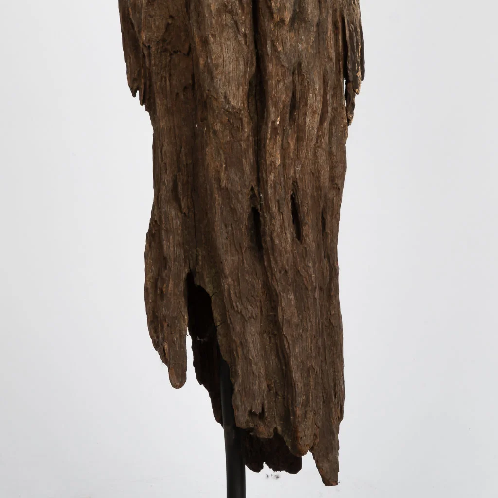 2016-04-19-tabunov-african-342.jpg