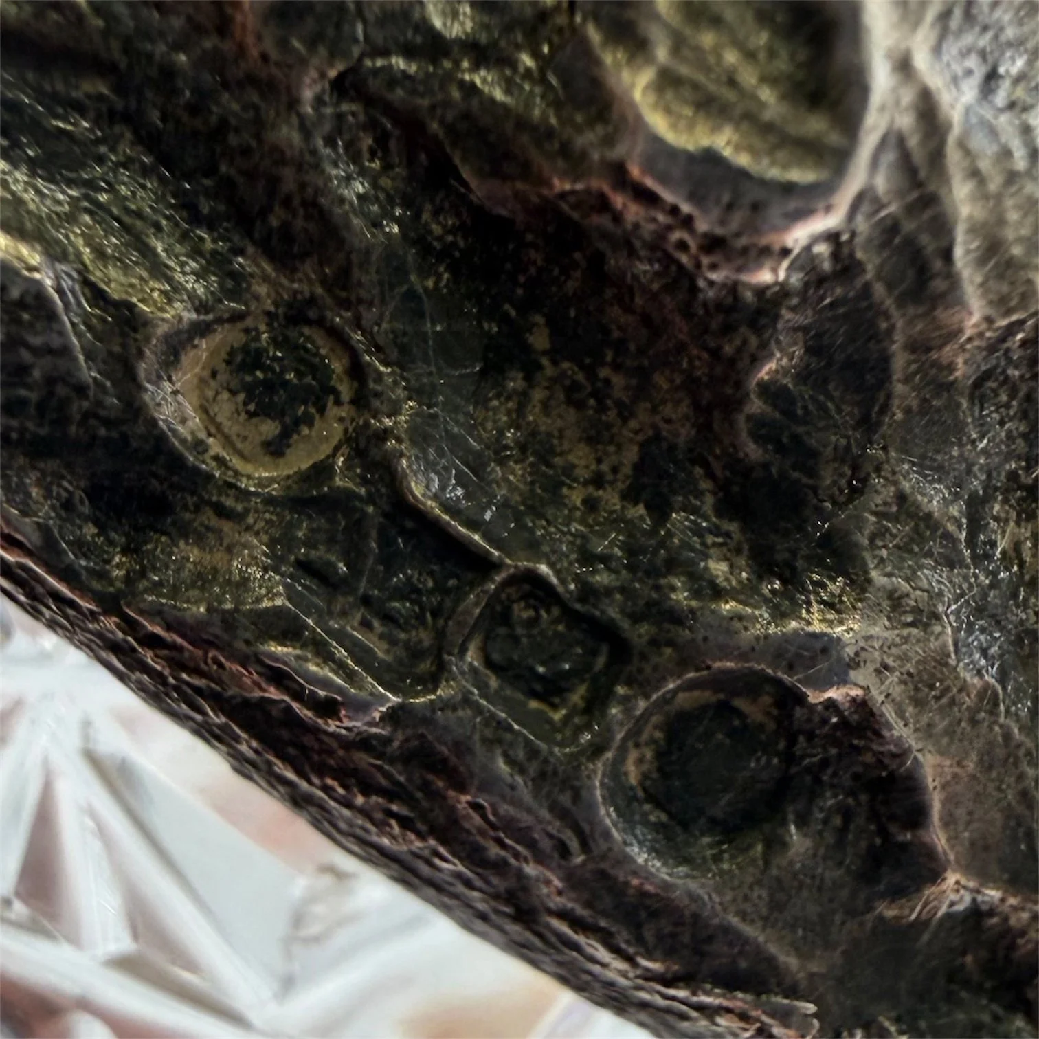 Photoroom_20260622_155428.JPG