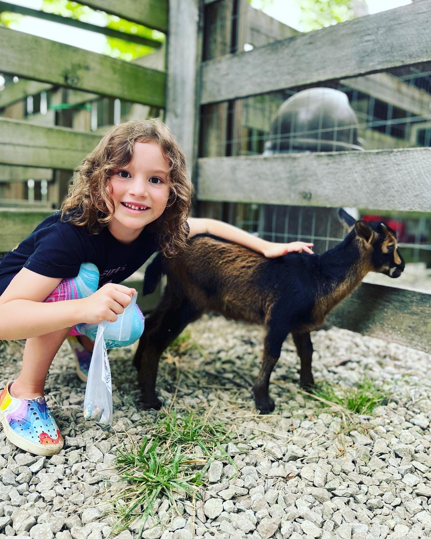 Petting Zoo — Olentangy Caverns