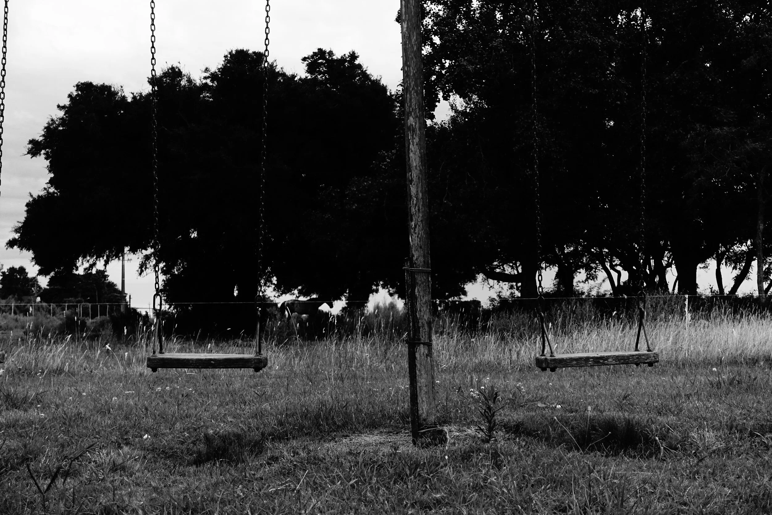 Swings, Uruguay 2016.