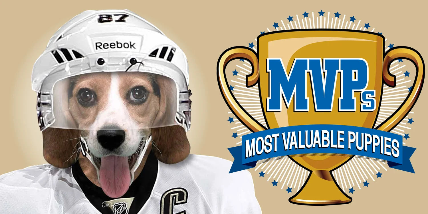 MVP.jpg