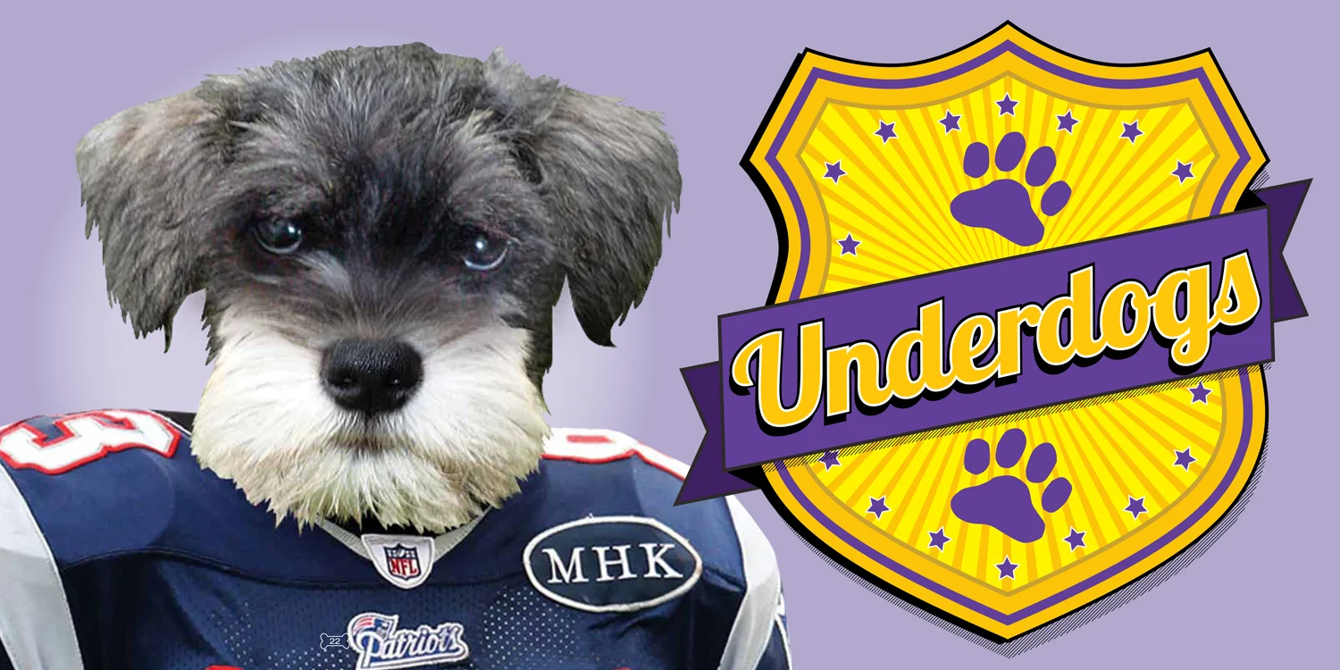 Underdogs.jpg