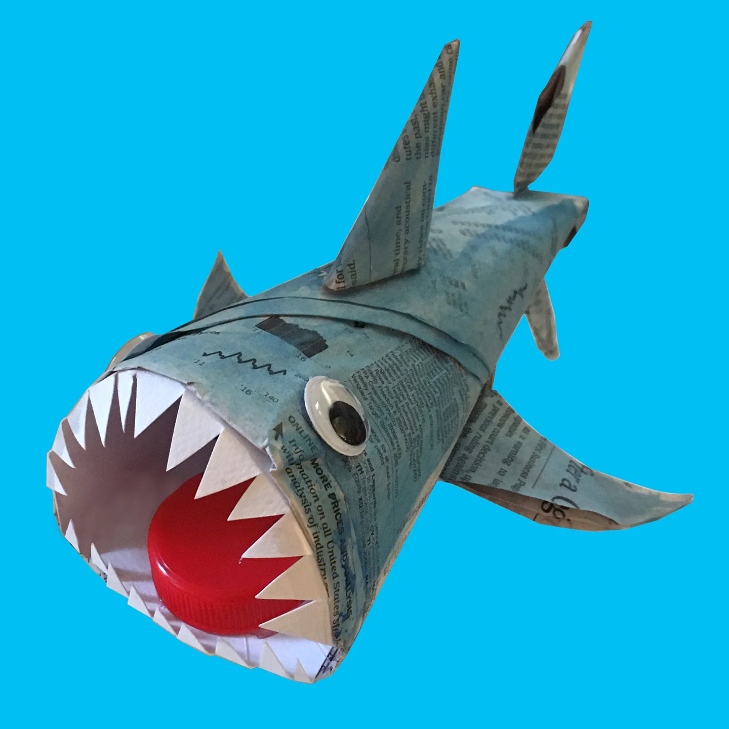 shark2.jpg