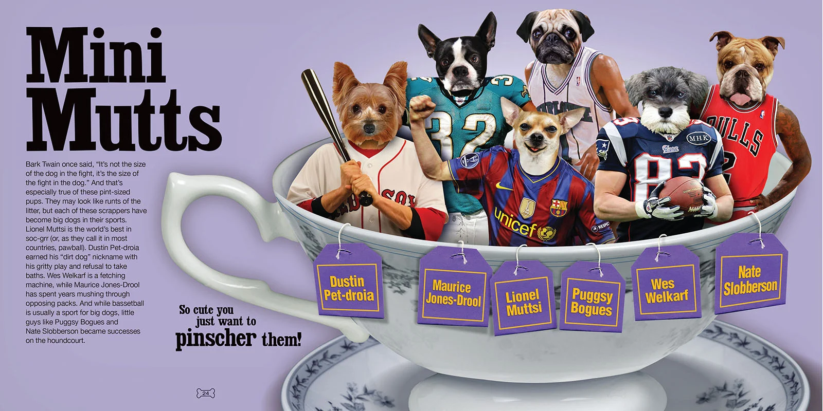 MiniMutts-1.jpg