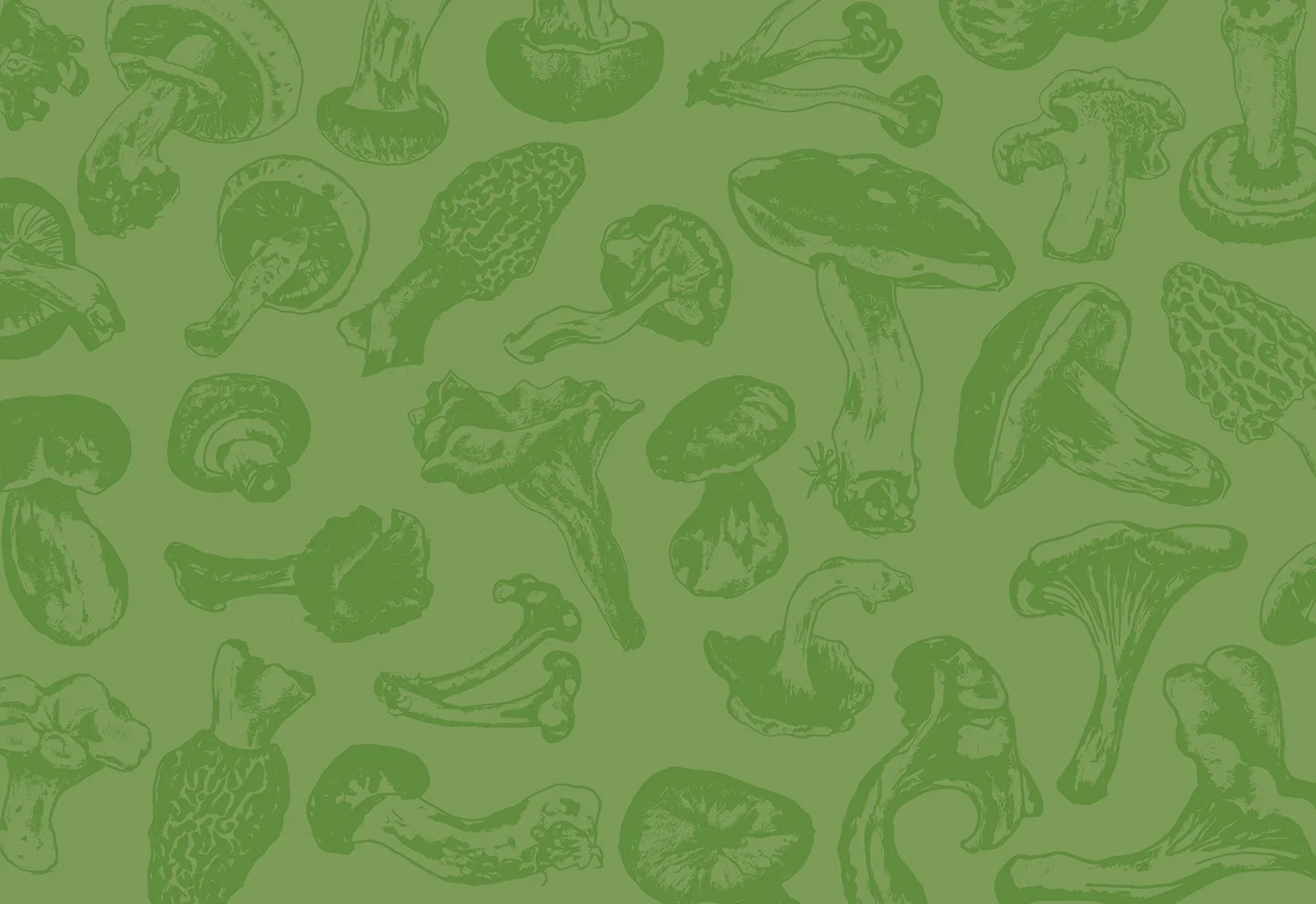 Mushroom Hunter's Ends.jpg