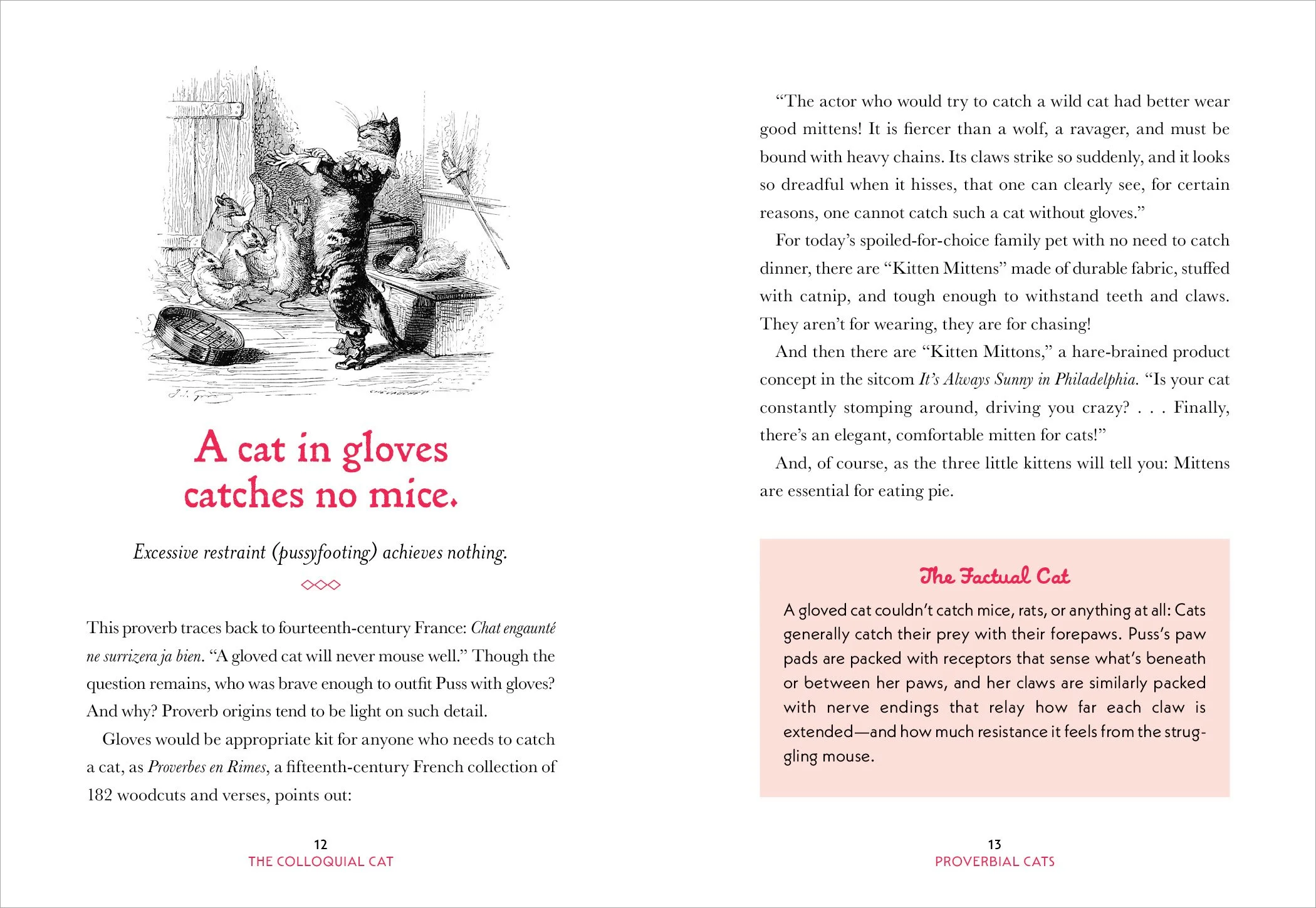 Colloquial Cat_6P3.jpg