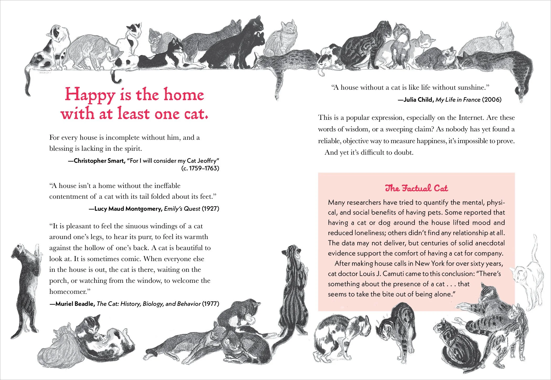 Colloquial Cat_6P4.jpg
