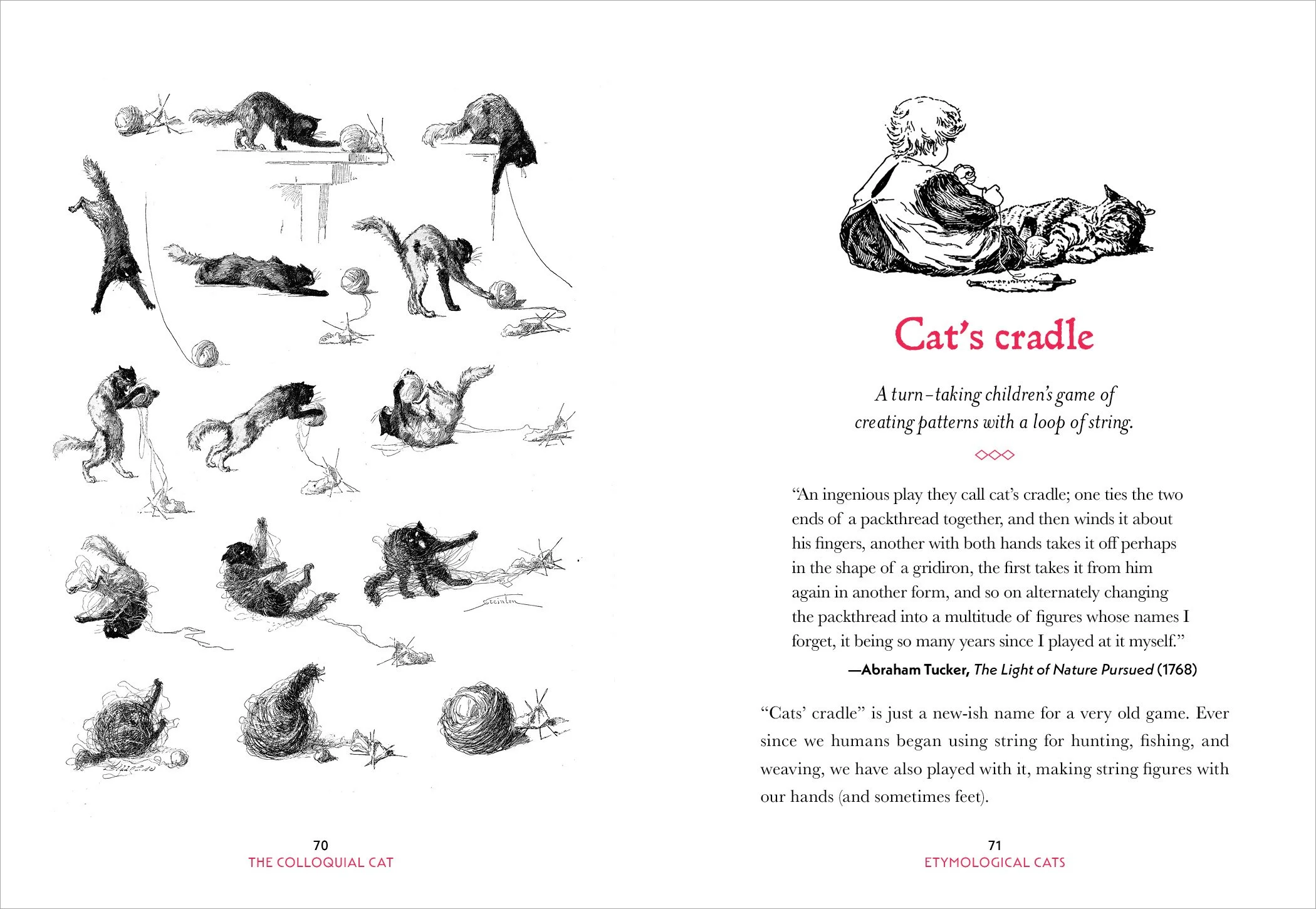 Colloquial Cat_6P6.jpg