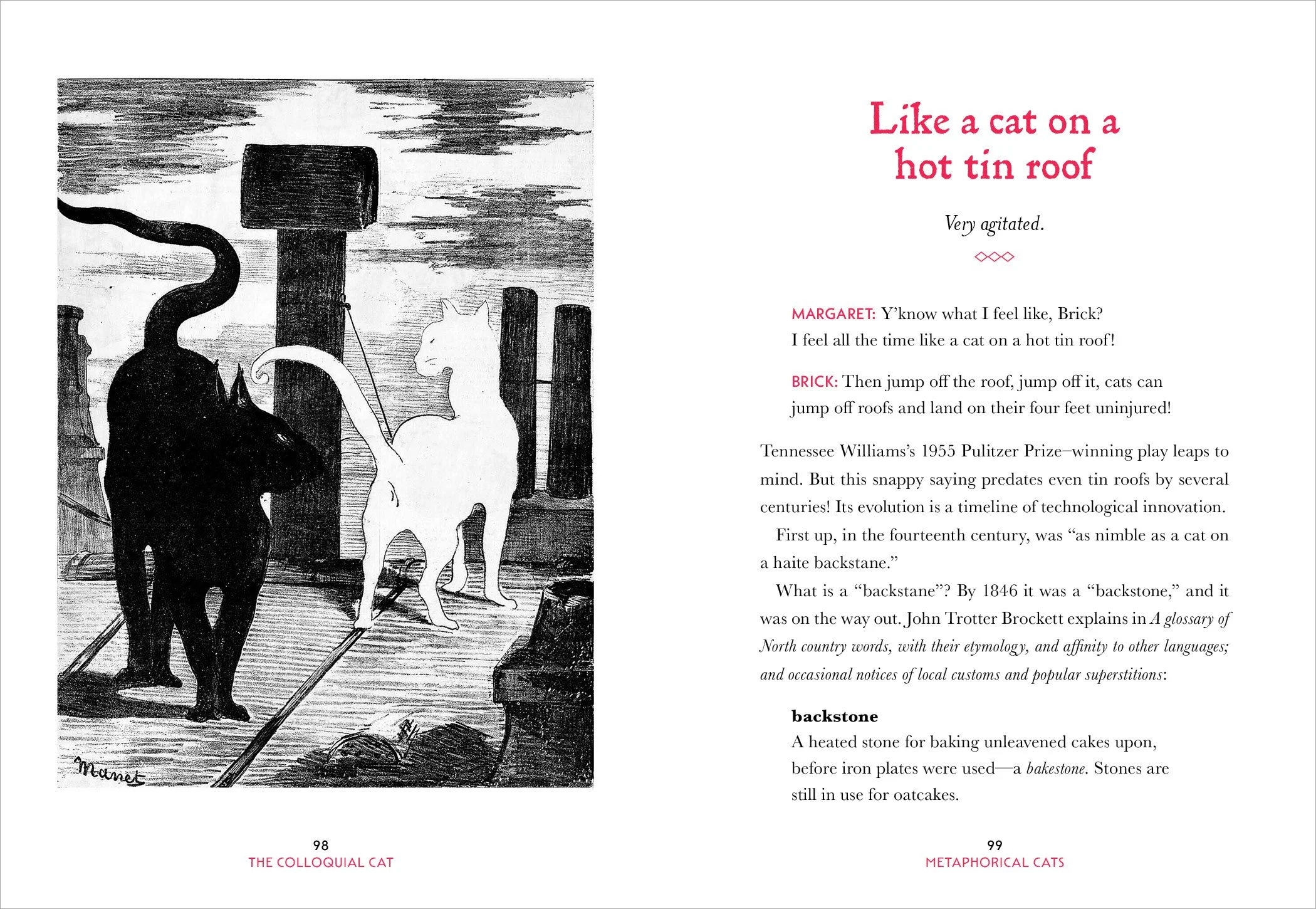 Colloquial Cat_6P9.jpg