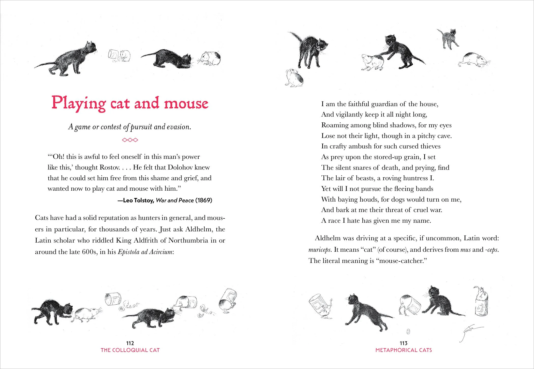Colloquial Cat_6P10.jpg