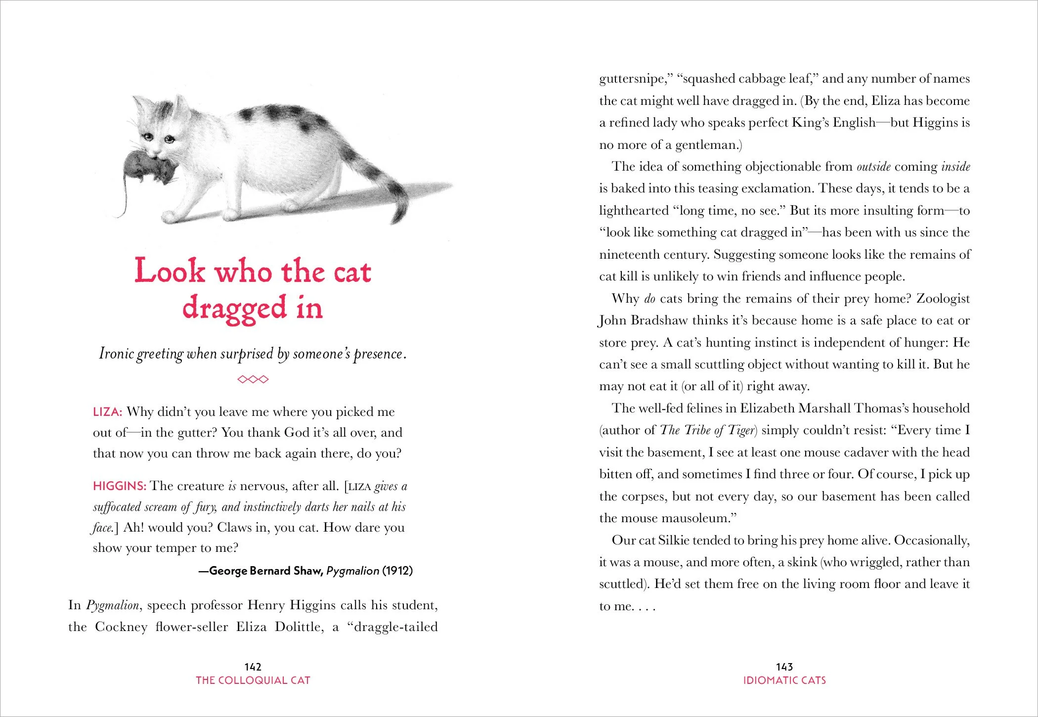 Colloquial Cat_6P12.jpg