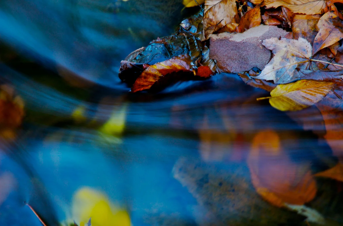 untitled-14.jpg