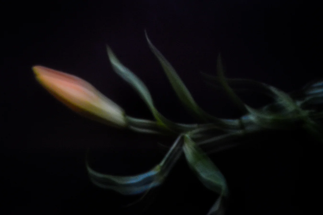 John Craig Media, Pinhole Photography, Minimal Photography, -005.jpg
