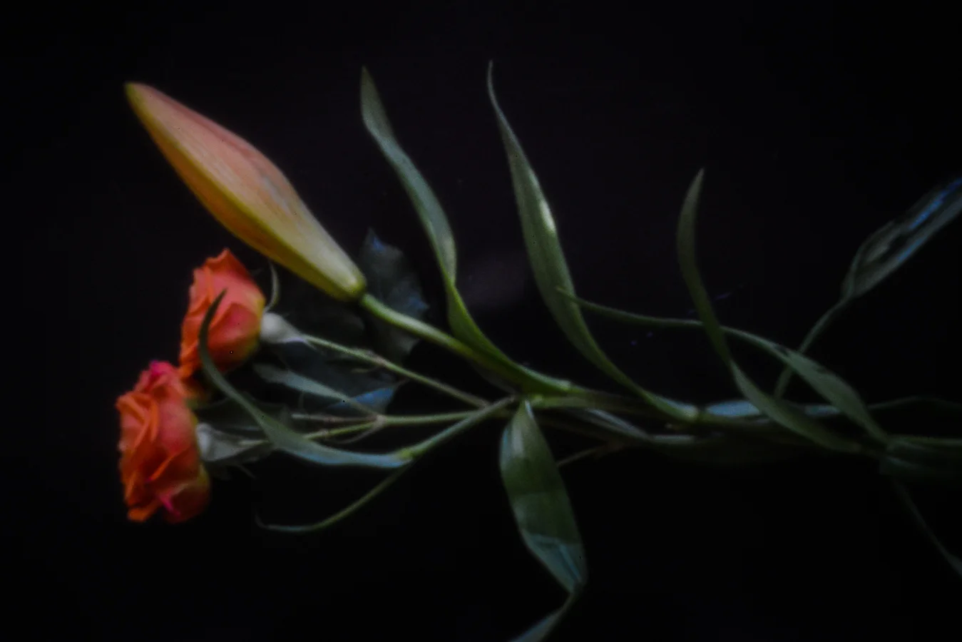 John Craig Media, Pinhole Photography, Minimal Photography, -006.jpg