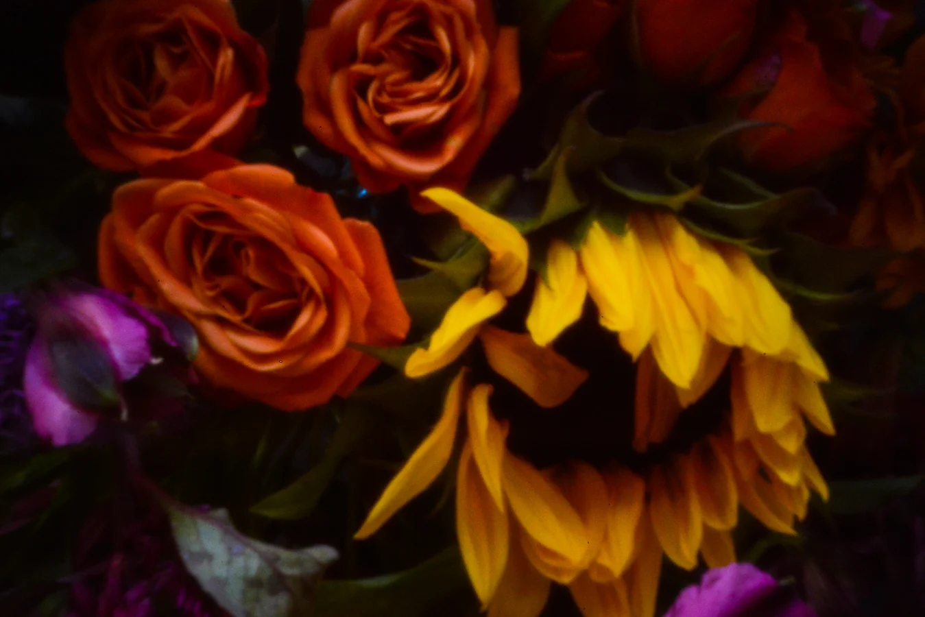 John Craig Media, Pinhole Photography, Minimal Photography, -008.jpg