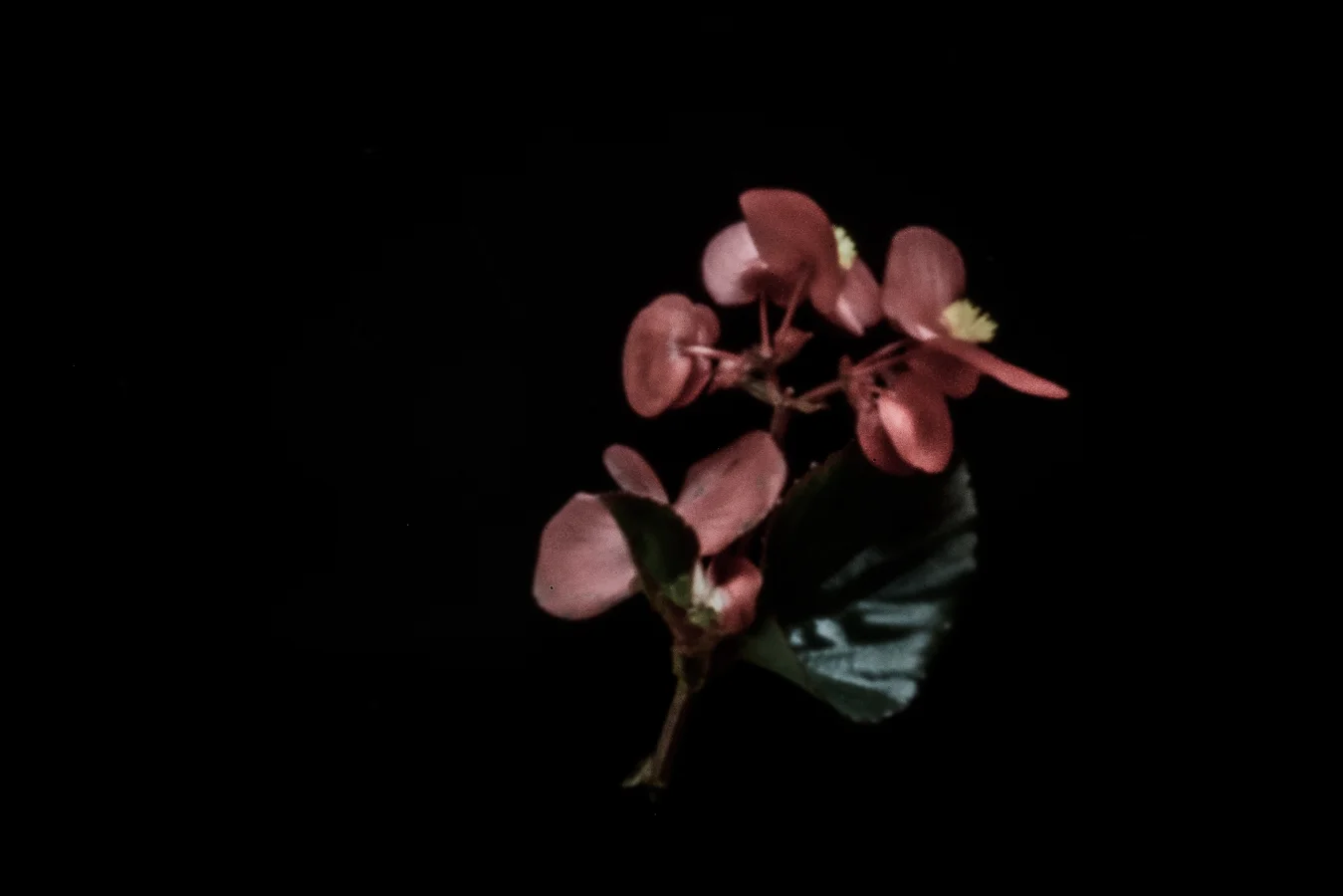 John Craig Media, Pinhole Photography, Minimal Photography, -016.jpg