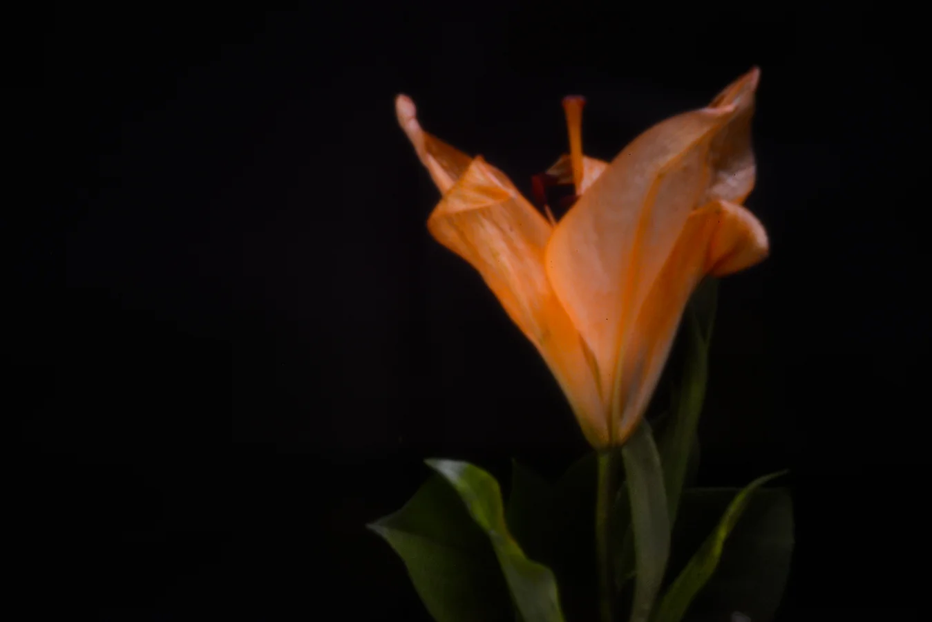 John Craig Media, Pinhole Photography, Minimal Photography, -017.jpg