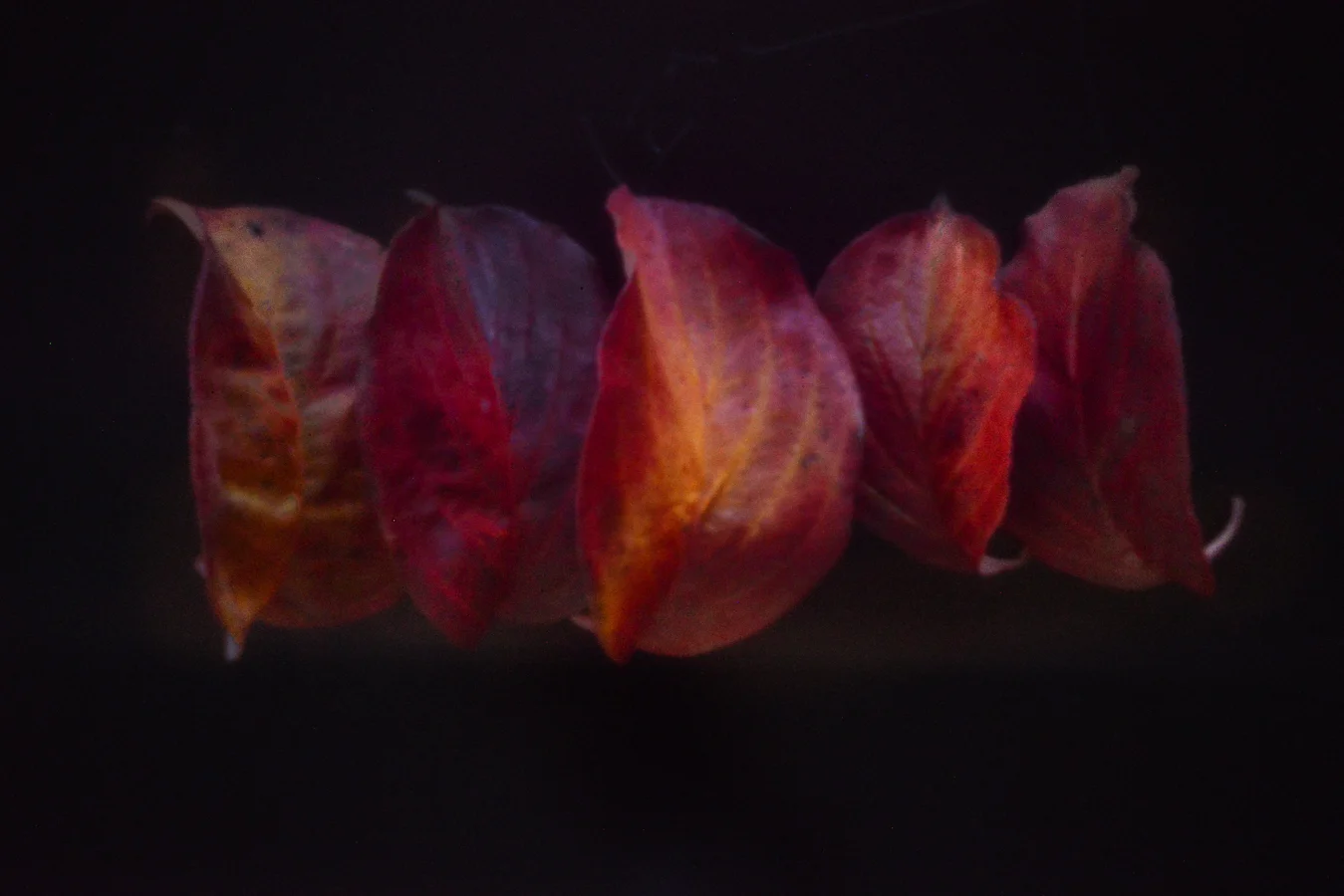 John Craig Media, Pinhole Photography, Minimal Photography, -020.jpg