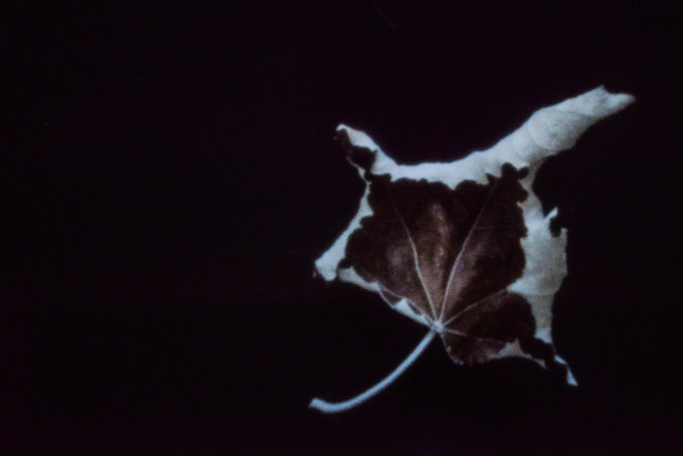 John Craig Media, Pinhole Photography, Minimal Photography, -021.jpg