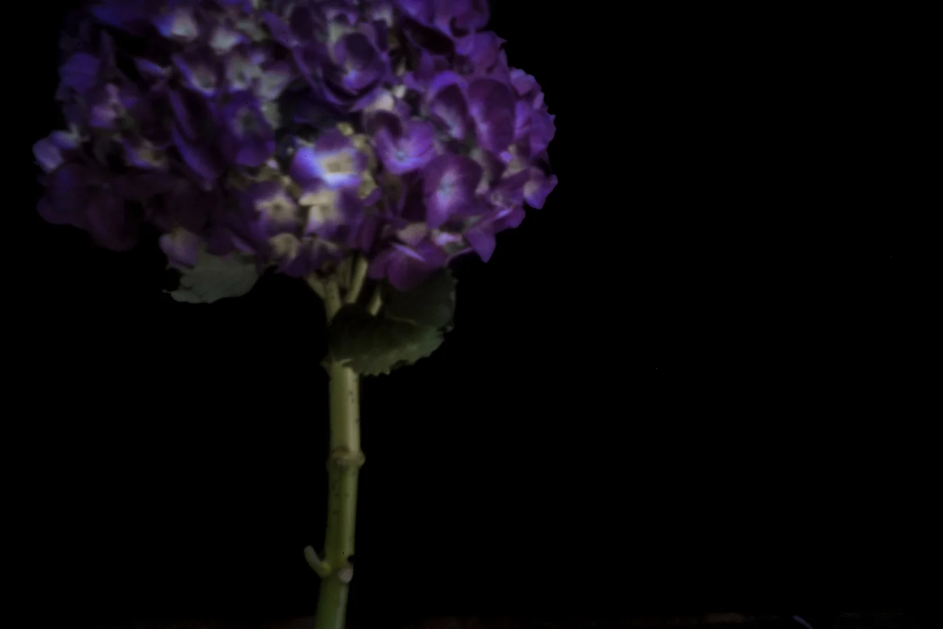 John Craig Media, Pinhole Photography, Minimal Photography, -025.jpg