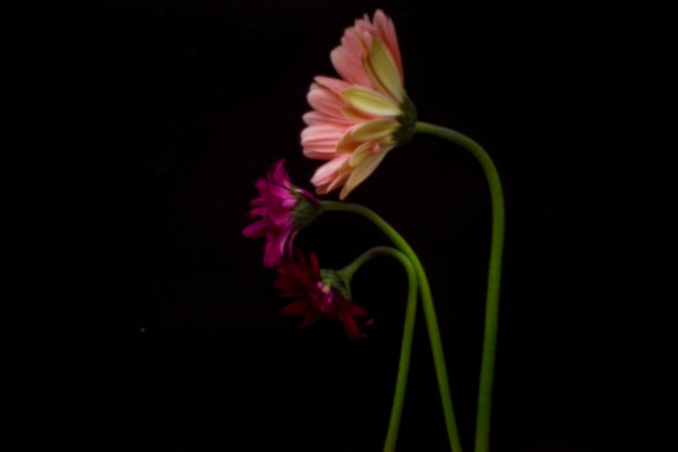 John Craig Media, Pinhole Photography, Minimal Photography, -030.jpg