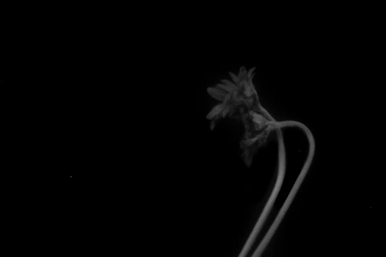 John Craig Media, Pinhole Photography, Minimal Photography, -031.jpg