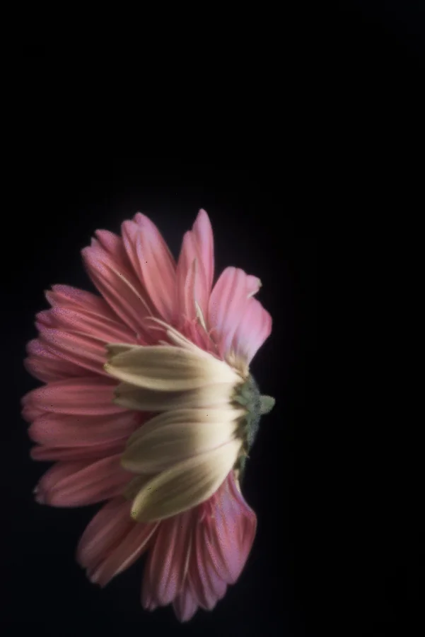 John Craig Media, Pinhole Photography, Minimal Photography, -033.jpg