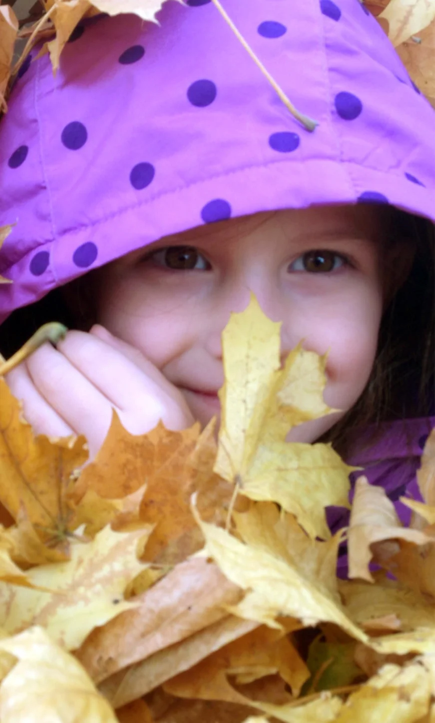 BTL-Kids_0019_Layer 32.jpg