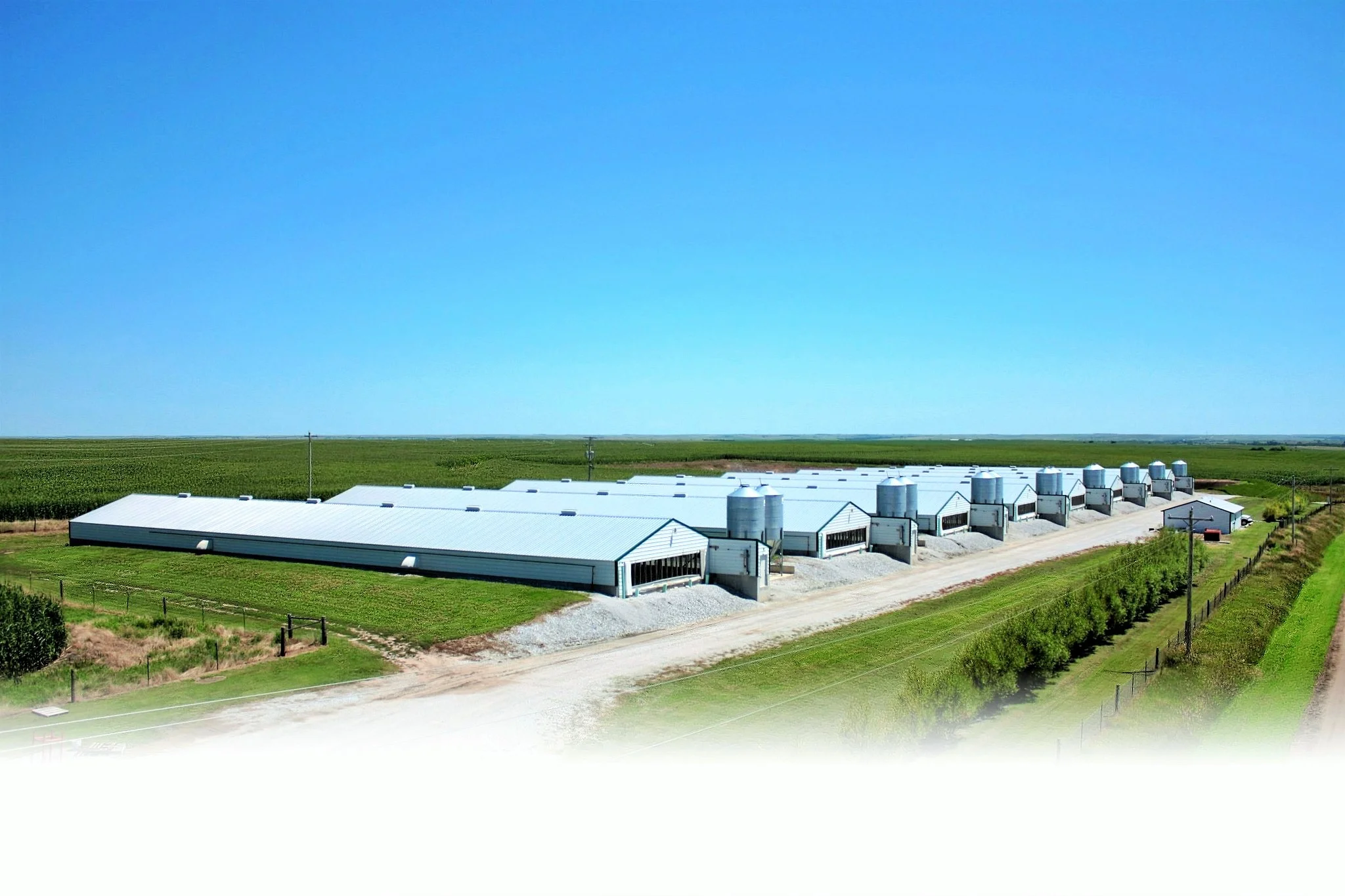 Nelson Ag Companies