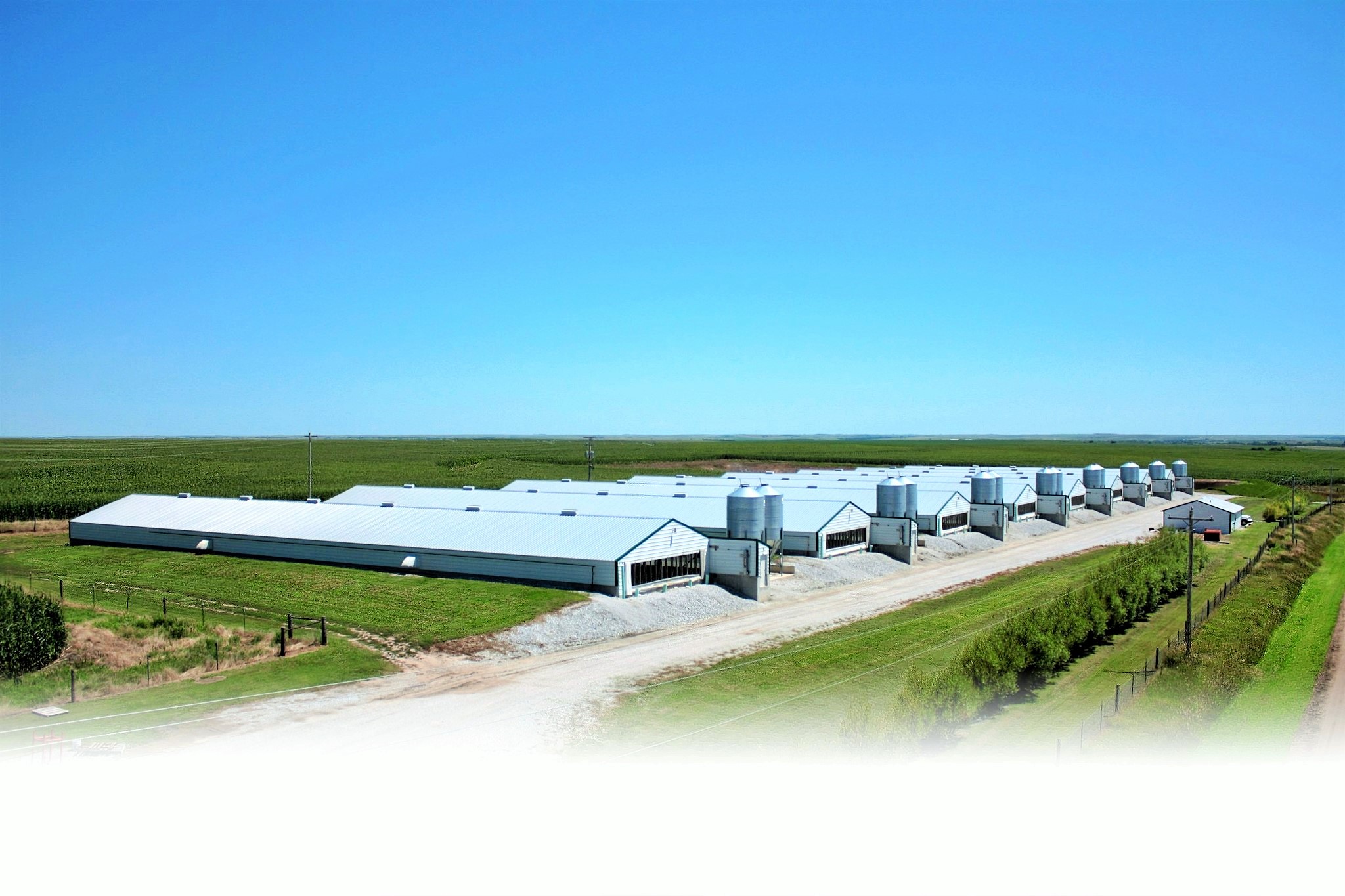 Nelson Farms_ResolutionPlus (3).jpg