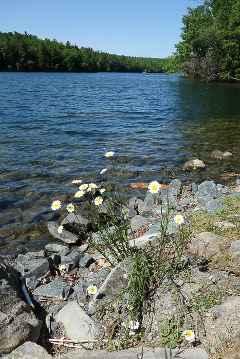 Long Pond, Grafton Lakes State Park, Grafton, NY