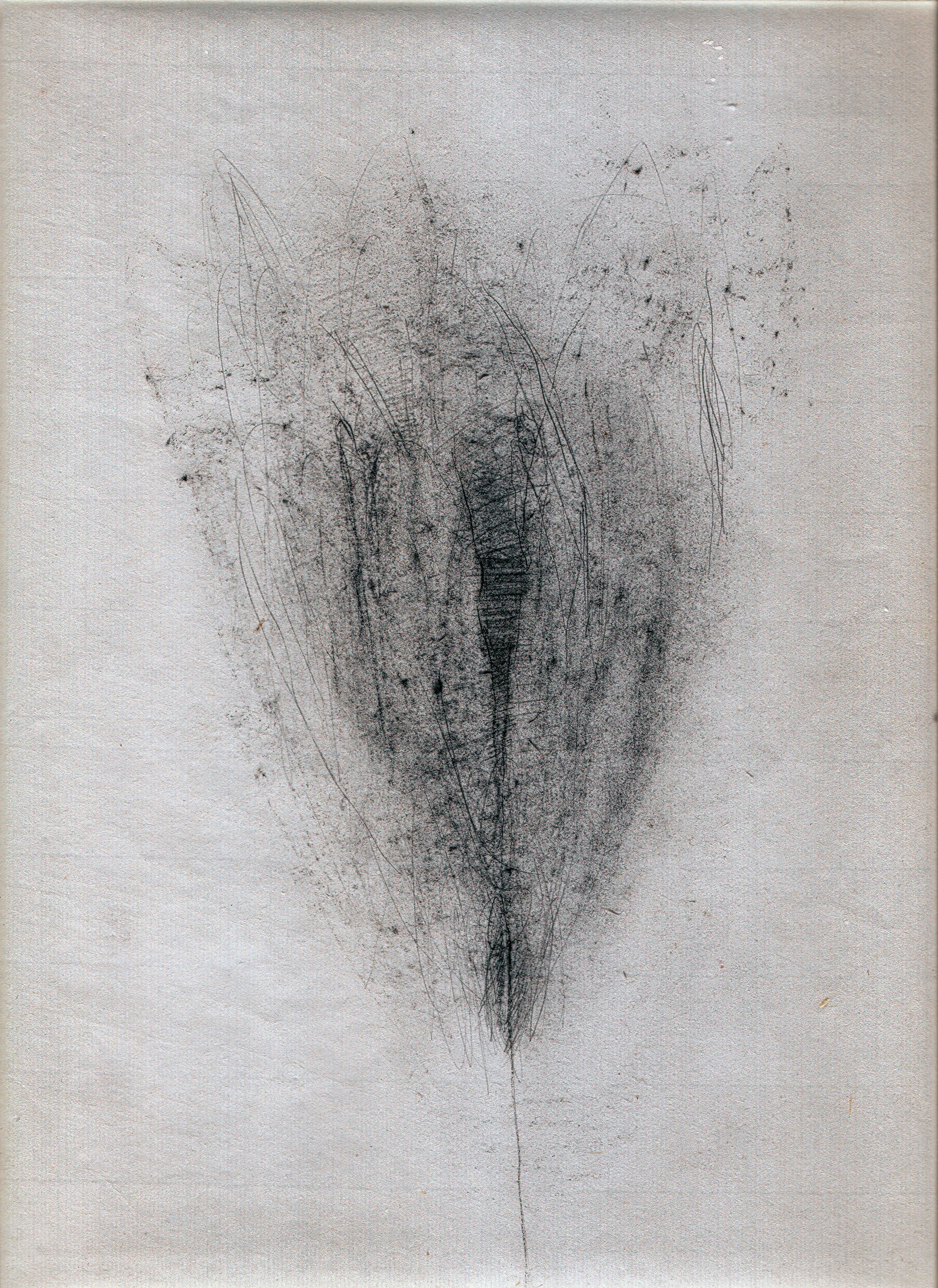 Flower1.jpg