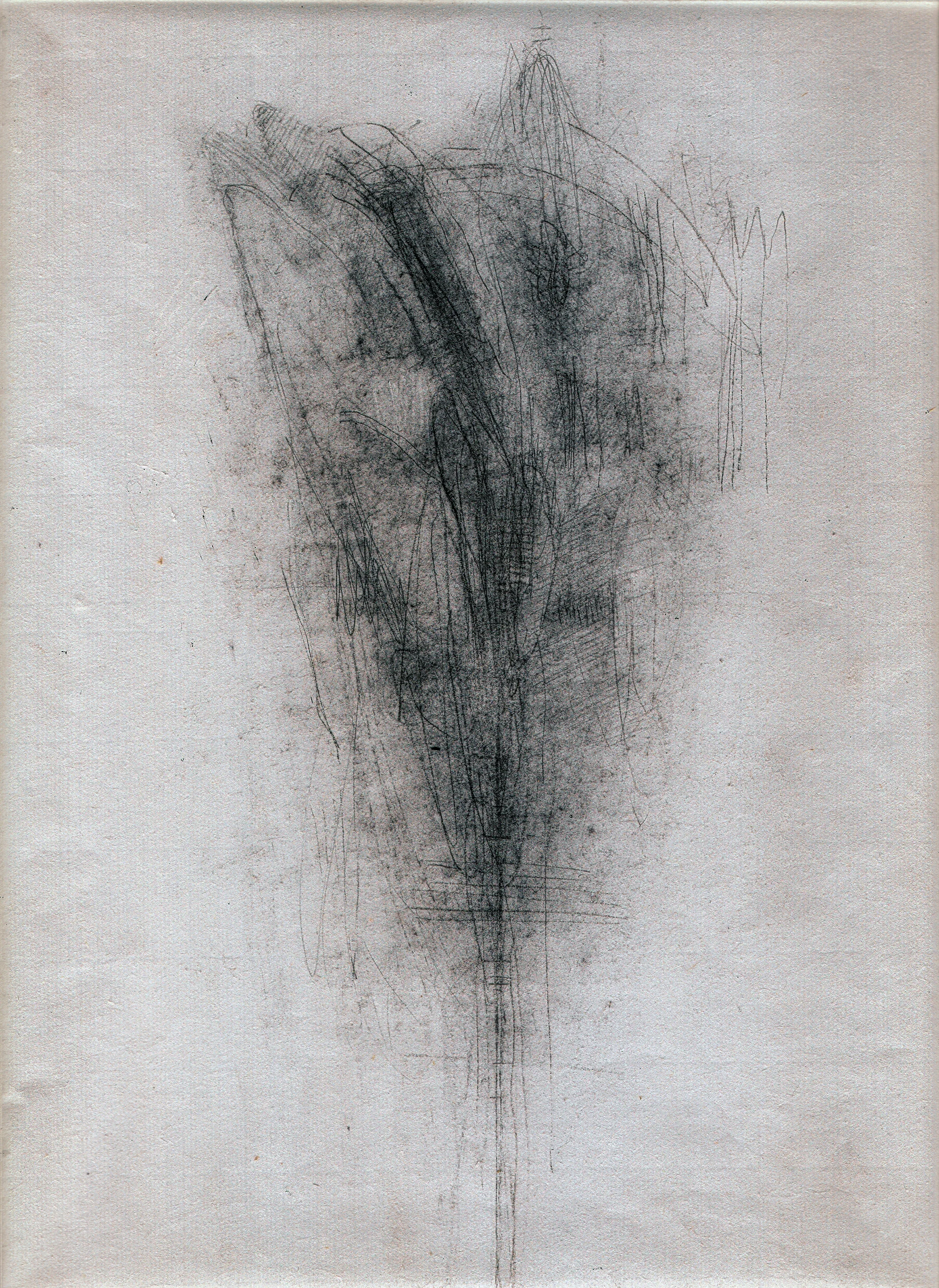 Flower2.jpg