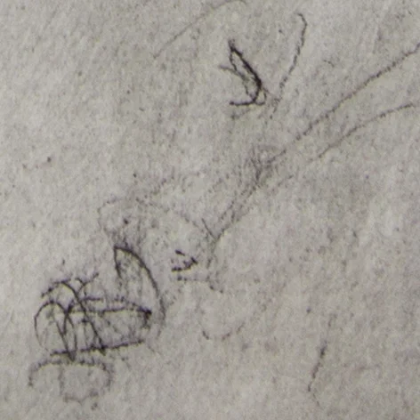 Donna Cannone thumbnail.jpg