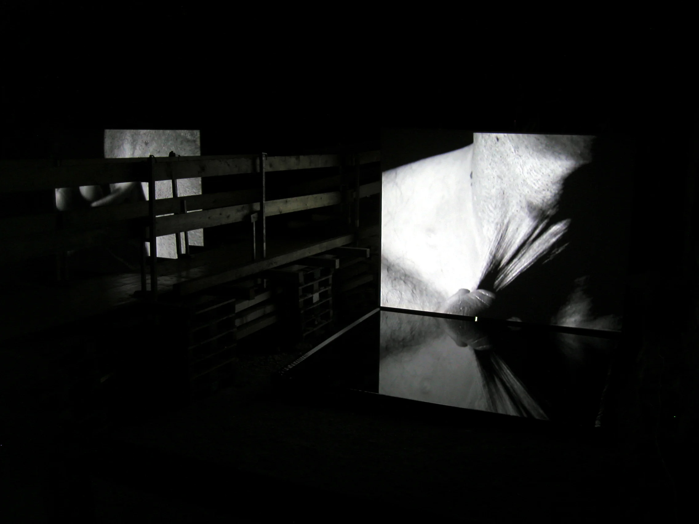 BODY OF GLASS - AFTER CARAVAGGIO, dual video and stereo audio and water installation, the Johanniterkirche, Feldkirch, Austria, 2006. Curator: Eva Jakob