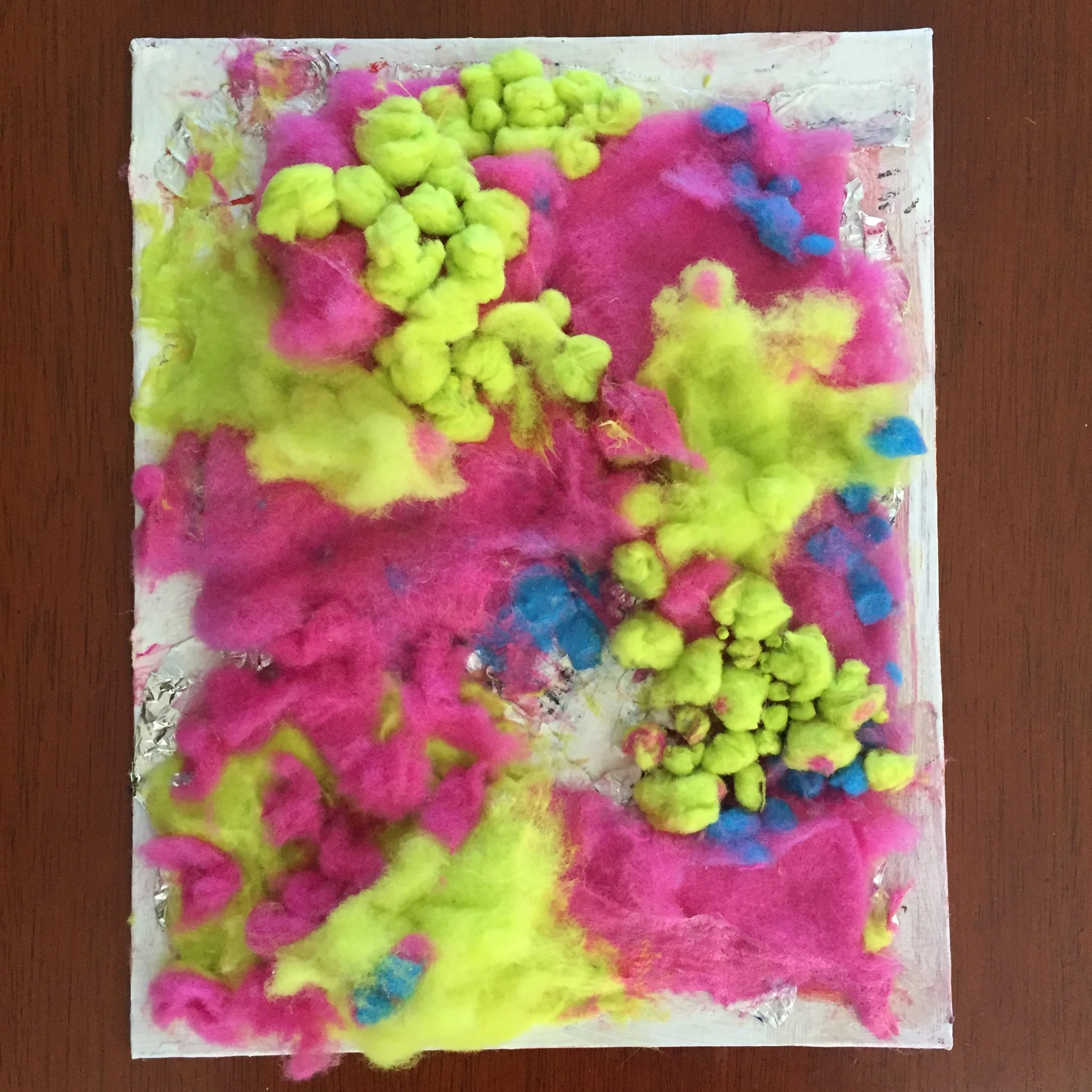dryer lint (the consequence of walmart towels)