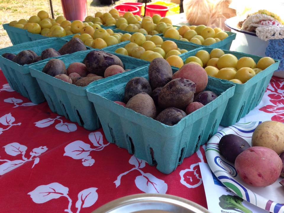 minted-market-community-farmers-market-grampian-pa.jpg